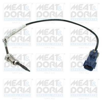 Sensor, exhaust gas temperature